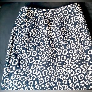 NWT Loft Skirt